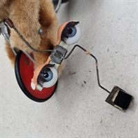 blå-hhvide-klare-oejne-sorte-vipper-med-balancestang-gammelt-legetoej